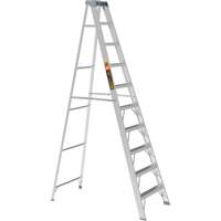 Step Ladder, 10', Aluminum, 225 lbs. Capacity, Type 2 Groupe Belzile Dickner
