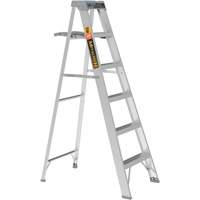 Step Ladder with Paint Tray, 6', Aluminum, 225 lbs. Capacity, Type 2 Groupe Belzile Dickner