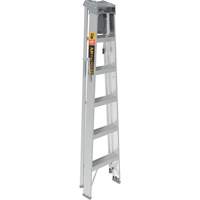 Step Ladder with Paint Tray, 6', Aluminum, 225 lbs. Capacity, Type 2 Groupe Belzile Dickner