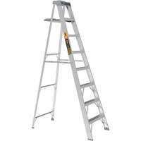 Step Ladder with Paint Tray, 8', Aluminum, 225 lbs. Capacity, Type 2 Groupe Belzile Dickner