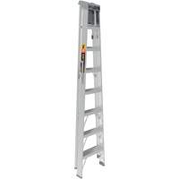 Step Ladder with Paint Tray, 8', Aluminum, 225 lbs. Capacity, Type 2 Groupe Belzile Dickner