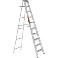 Step Ladder with Paint Tray, 10', Aluminum, 225 lbs. Capacity, Type 2 Groupe Belzile Dickner