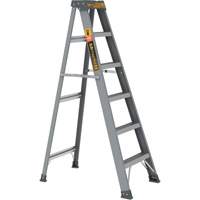 Step Ladder, 6', Fibreglass, 225 lbs. Capacity, Type 2 Groupe Belzile Dickner