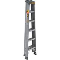Step Ladder, 6', Fibreglass, 225 lbs. Capacity, Type 2 Groupe Belzile Dickner