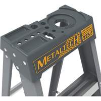 Step Ladder with Paint Tray, 6', Fibreglass, 225 lbs. Capacity, Type 2 Groupe Belzile Dickner