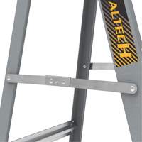 Step Ladder with Paint Tray, 6', Fibreglass, 225 lbs. Capacity, Type 2 Groupe Belzile Dickner