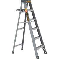 Step Ladder with Paint Tray, 6', Fibreglass, 225 lbs. Capacity, Type 2 Groupe Belzile Dickner
