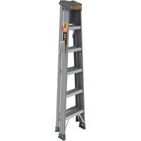 Step Ladder with Paint Tray, 6', Fibreglass, 225 lbs. Capacity, Type 2 Groupe Belzile Dickner