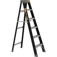 Step Ladder, 6', Fibreglass, 250 lbs. Capacity, Type 1 Groupe Belzile Dickner