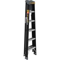 Step Ladder with Paint Tray, 6', Fibreglass, 250 lbs. Capacity, Type 1 Groupe Belzile Dickner