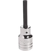 Embout &agrave; ins&eacute;rer, Hexagonale, 18 mm x 4" lo, Prise 1/2" Groupe Belzile Dickner