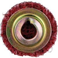 Disque de conditionnement de surface &agrave; remplacement rapide Standard Abrasives, 3/4" dia., Grain Moyen, Oxyde d'aluminium Groupe Belzile Dickner