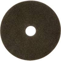 Disque unitaris&eacute; Standard Abrasives, 6" x 1/4", Arbre de 1", Grain de Moyen, Oxyde d'aluminium Groupe Belzile Dickner