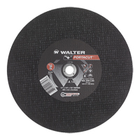 Portacut High Speed Cut-Off Wheel, 14" x 1/8", 7/8" Arbor, Type 1, Aluminum Oxide, 5400 RPM Groupe Belzile Dickner