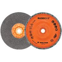 Blendex U™ Finishing Cup Disc, 5" Dia., Fine Grit, Silicon Carbide VV859 | Dickner Inc
