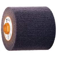 Tambour de conditionnement de surface Blendex, 4-1/2" dia. x 4" la, 5/8"-11 Arbre, Grain HG Groupe Belzile Dickner