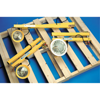 Dock Lights, 60" Arm, Incandescent Lamp, Metal Groupe Belzile Dickner