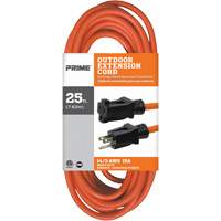 Vinyl Extension Cord, Outdoor, SJTW, 14/3 AWG, 15 A, 25' Groupe Belzile Dickner
