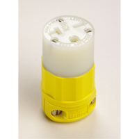 Connecteur de broches droites mis &agrave; la terre &agrave; deux bornes et trois fils, 5-20P, Nylon Groupe Belzile Dickner