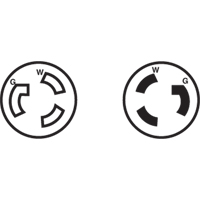 Prise mise &agrave; la terre verrouillable &agrave; deux bornes et trois fils, Nylon, 15 A, 250 V, L6-15P Groupe Belzile Dickner