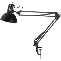 Lampes de bureau à pince - Bras flexible, 100 W, Incandescente, Pinces serre-joints, Noir XA982 | Dickner Inc