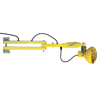 Lampes avec bras flexible pour quais, Ampoule Incandescente, Bras 40" XC455 | Dickner Inc