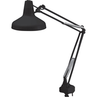 Heavy-duty Combination Task Light, 22/60 W, Fluorescent/Incandescent, 45" Neck, Black Groupe Belzile Dickner