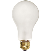 Economy Line Incandescent Lamps Groupe Belzile Dickner