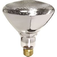 Economy Line Incandescent Lamps Groupe Belzile Dickner
