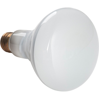 Economy Line Incandescent Lamps Groupe Belzile Dickner