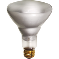 Economy Line Incandescent Lamps Groupe Belzile Dickner