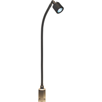 LS Series High-Output Flexible Light, 5 W, LED, 27" Neck, Black Groupe Belzile Dickner