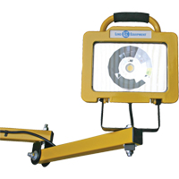 Heavy-Duty Dock Light, 40" Arm, 38 W, LED Lamp, Metal Groupe Belzile Dickner