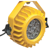 Heavy-Duty LED Dock Light - Head Only Groupe Belzile Dickner
