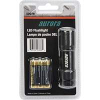 Mini lampe de poche AFL200, DEL, 25 lumens, Piles AAA Groupe Belzile Dickner