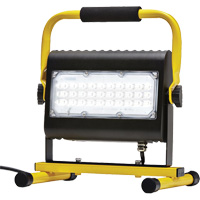 Projecteur d'illumination, DEL, 50 W, 4800 lumens, Boîtier en Aluminium Groupe Belzile Dickner