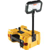 Syst&egrave;mes d'&eacute;clairage &agrave; distance 9480, DEL, 41,1 W, 4000 lumens, Boîtier en Plastique Groupe Belzile Dickner