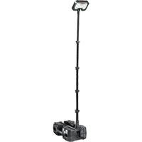 Syst&egrave;mes d'&eacute;clairage &agrave; distance 9490, DEL, 53,3 W, 6000 lumens, Boîtier en Plastique Groupe Belzile Dickner