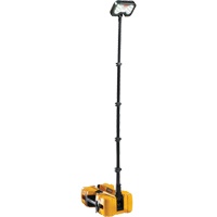 Syst&egrave;mes d'&eacute;clairage &agrave; distance 9490, DEL, 53,3 W, 6000 lumens, Boîtier en Plastique Groupe Belzile Dickner