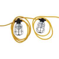 Chaînes de lumières DEL, 5 Lumières, 600" lo, Boîtier en Métal XH270 | Dickner Inc