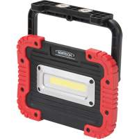 Portable Work Light, LED, 10 W, 1000 Lumens, Plastic Housing Groupe Belzile Dickner