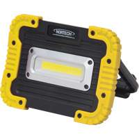 Portable Work Light, LED, 10 W, 1000 Lumens, Plastic Housing Groupe Belzile Dickner