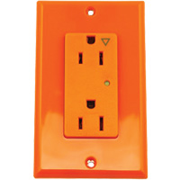Surge Protective Isolated Decora&reg; Outlet Groupe Belzile Dickner