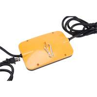 Chaîne de baladeuses DEL, 5 Lumi&egrave;res, 50' lo, Boîtier en Plastique Groupe Belzile Dickner