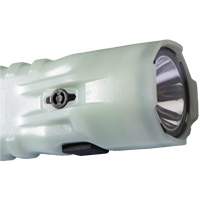 Flashlight, LED, 378 Lumens, AA Batteries Groupe Belzile Dickner
