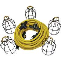 Guirlande électrique à DEL avec connecteur, 5 Lumières, 50' lo, Boîtier en Métal XI324 | Dickner Inc