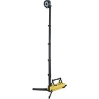 Portable Extendable Scene Light, LED, 5300 Lumens, Plastic Housing Groupe Belzile Dickner