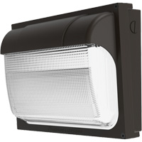 Contractor Select™ TWX ALO Adjustable Light Output Wall Pack, LED, 120 - 277 V, 54 W, 9" H x 13" W x 4.5" D XJ024 | Dickner Inc