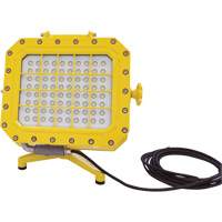 Explosion Proof Floodlight with Floor Stand, LED, 40 W, 5600 Lumens, Aluminum Housing Groupe Belzile Dickner