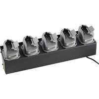 Chargeur de batteries de lampe de poche Survivor X Groupe Belzile Dickner